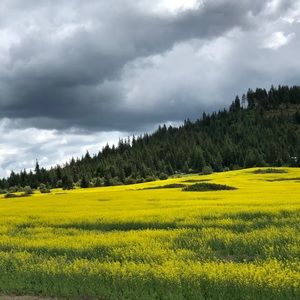 Meet your Posher, Pat